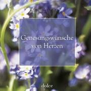 Genesungswünsche herzen gebraucht kaufen  Wird an jeden Ort in Deutschland