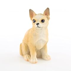 Chihuahua tan white for sale  Delivered anywhere in USA 