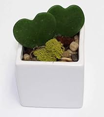 Athena garden heart for sale  Delivered anywhere in USA 
