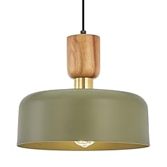 Contemporary pendant lighting for sale  Delivered anywhere in USA 