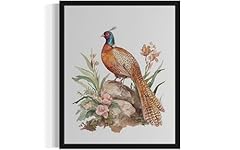 Pheasant art print for sale  Delivered anywhere in USA 
