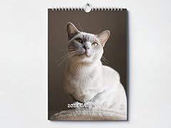 Burmese cat calendar for sale  Delivered anywhere in UK