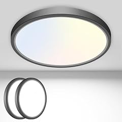 2pack flush mount for sale  Delivered anywhere in USA 