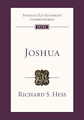 Joshua tyndale old usato  Spedito ovunque in Italia 