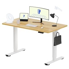 Flexispot en1 whole for sale  Delivered anywhere in USA 