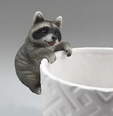 Distinctive designs raccoon for sale  Delivered anywhere in USA 