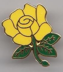 Yellow english rose for sale  Delivered anywhere in UK