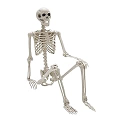 Daricano halloween skeleton for sale  Delivered anywhere in USA 