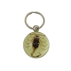 Resin insect keychain for sale  Delivered anywhere in UK