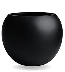 Kute nest globo for sale  Delivered anywhere in USA 