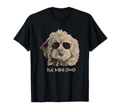 Mini dood goldendoodle for sale  Delivered anywhere in USA 