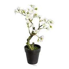 Artificielles.com bonsai prunu usato  Spedito ovunque in Italia 