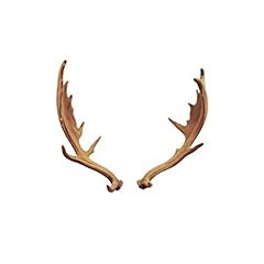 Fallow deer skull for sale  Delivered anywhere in USA 