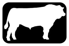 Simmental bull decal for sale  Delivered anywhere in USA 