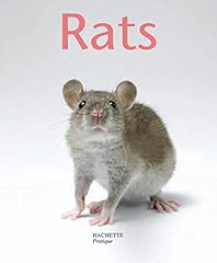 Rats d'occasion  Livré partout en Belgiqu