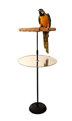 Parrot training perch for sale  Delivered anywhere in USA 