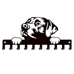 Superdant labrador dog for sale  Delivered anywhere in USA 