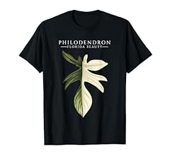 Philodendron florida beauty gebraucht kaufen  Wird an jeden Ort in Deutschland
