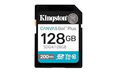 Kingston canvas plus usato  Spedito ovunque in Italia 