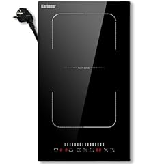Karinear plaque induction d'occasion  Livré partout en France
