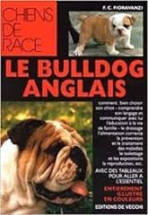 Bulldog anglais d'occasion  Livré partout en Belgiqu