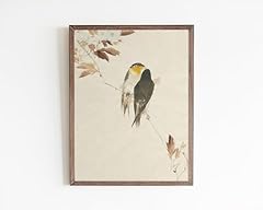Vintage bird posters for sale  Delivered anywhere in USA 