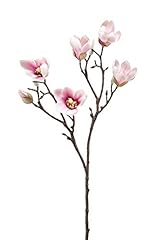 Artplants künstliche magnolie gebraucht kaufen  Wird an jeden Ort in Deutschland
