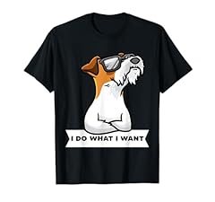 Fox terrier pelo usato  Spedito ovunque in Italia 