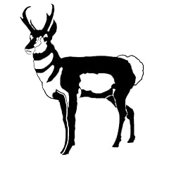 Pronghorn antelope hunting for sale  Delivered anywhere in USA 