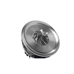 Ridex 4973c0221 coreassy usato  Spedito ovunque in Italia 
