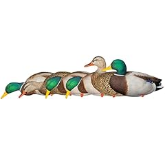 Avian axp full for sale  Delivered anywhere in USA 