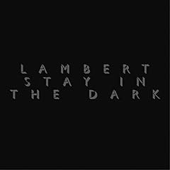 Stay the dark gebraucht kaufen  Wird an jeden Ort in Deutschland