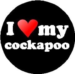 Love cockapoo magnet for sale  Delivered anywhere in USA 