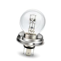 Ruiandsion p45t lampadina usato  Spedito ovunque in Italia 