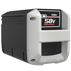 Electrysium replacement echo for sale  Delivered anywhere in USA 