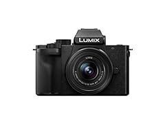 Panasonic lumix g100 for sale  Delivered anywhere in USA 