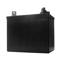 Polaris 4017419 battery for sale  Delivered anywhere in USA 