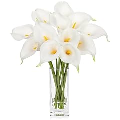 Dilatata fake flowers for sale  Delivered anywhere in USA 