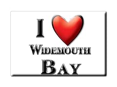 Enjoymagnets widemouth bay for sale  Delivered anywhere in UK
