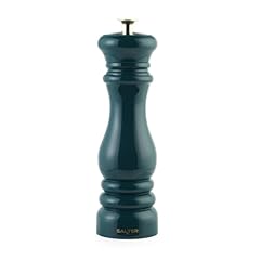 Salter bw13676greu7 chester usato  Spedito ovunque in Italia 
