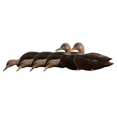 Avian axf flocked for sale  Delivered anywhere in USA 