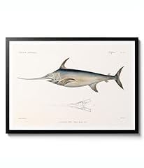 Swordfish georges cuvier d'occasion  Livré partout en France