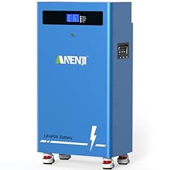 Aninerel batteria ricaricabile usato  Spedito ovunque in Italia 