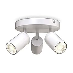 .licht lampe plafond d'occasion  Livré partout en Belgiqu