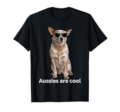 Australian cattle dog for sale  Delivered anywhere in USA 