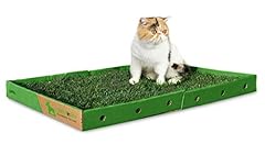 Greeninbox super cat usato  Spedito ovunque in Italia 