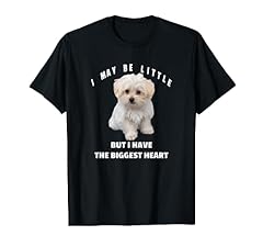 Little maltese dog for sale  Delivered anywhere in USA 