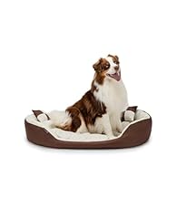 Lionto lit chien d'occasion  Livré partout en France