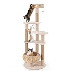 Petsite inch cattail for sale  Delivered anywhere in USA 