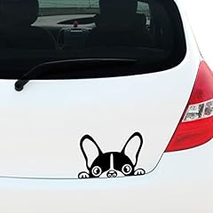 Peeking french bulldog for sale  Delivered anywhere in UK